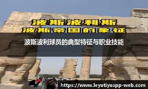 波斯波利球员的典型特征与职业技能